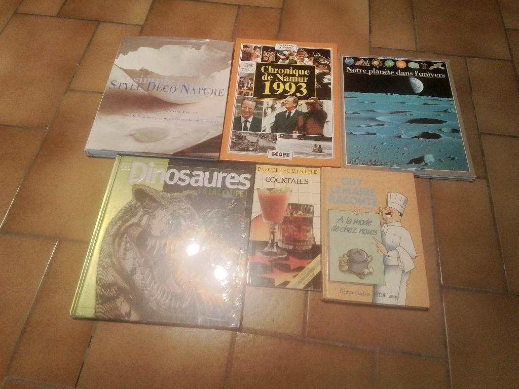 Lot de livres 10 euros le tout, Livres, Livres Autre, Enlèvement, Utilisé