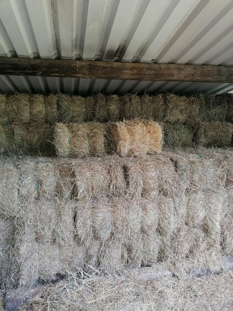 kleine balen hooi voor paarden, Enlèvement, Autres espèces