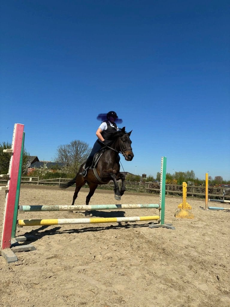 Joli poney D honnête de 13 ans à vendre, Jument, Poney D (1.37 m à 1.48m), Poney de récréation, Avec pedigree
