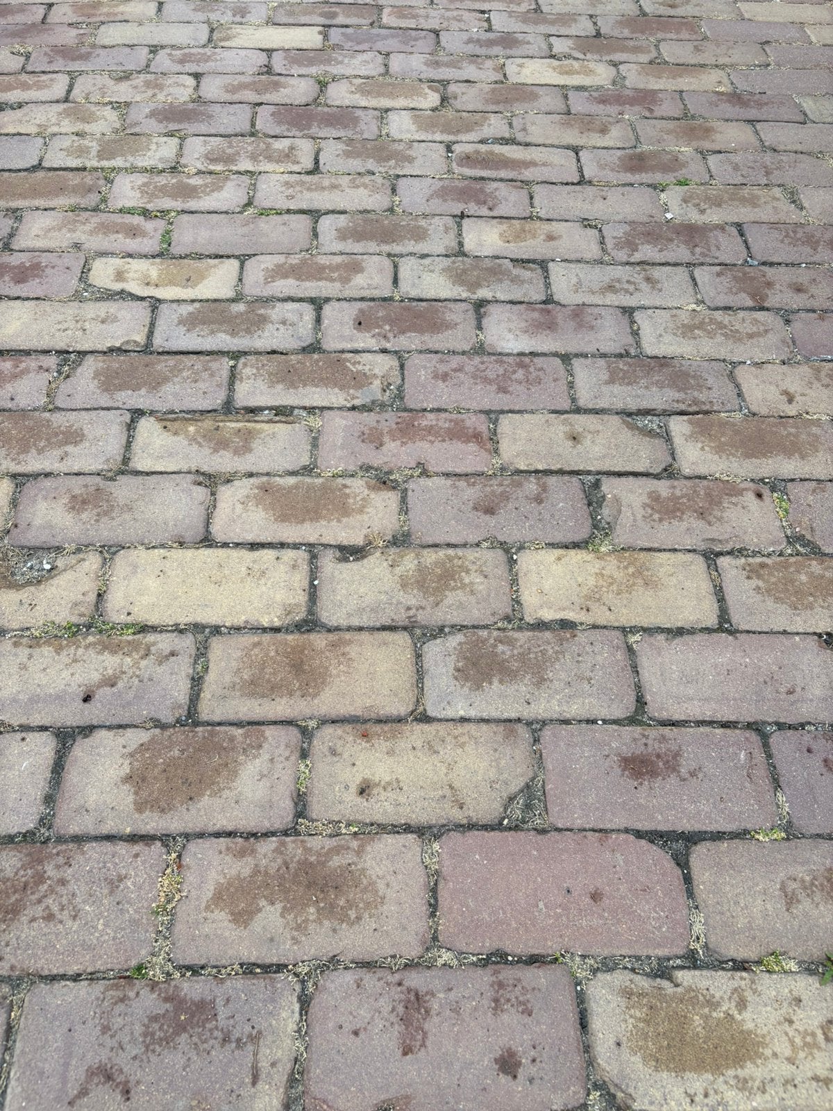 Kleiklinker 20x10x8 + 20 m2, Tuin en Terras, Ophalen, Gebruikt, 10 m² of meer, Klinkers