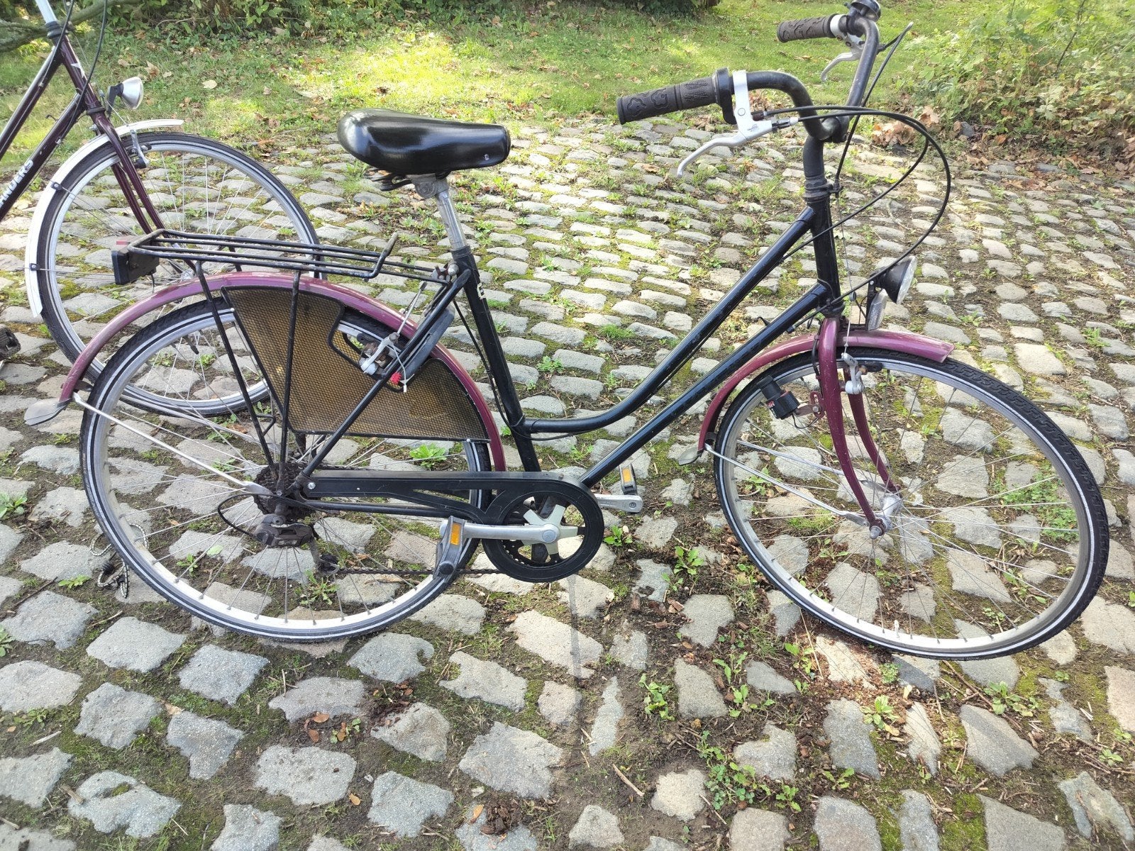 Oxford damesfiets met 6v, Ophalen