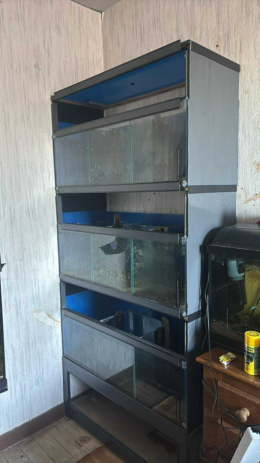 Rack aquarium, Animaux & Accessoires, Enlèvement, Couvercle inclus, Comme neuf, Aquarium d'eau douce rempli
