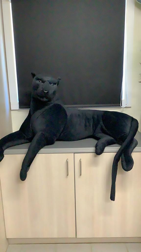Pluche panter, Enlèvement, Comme neuf