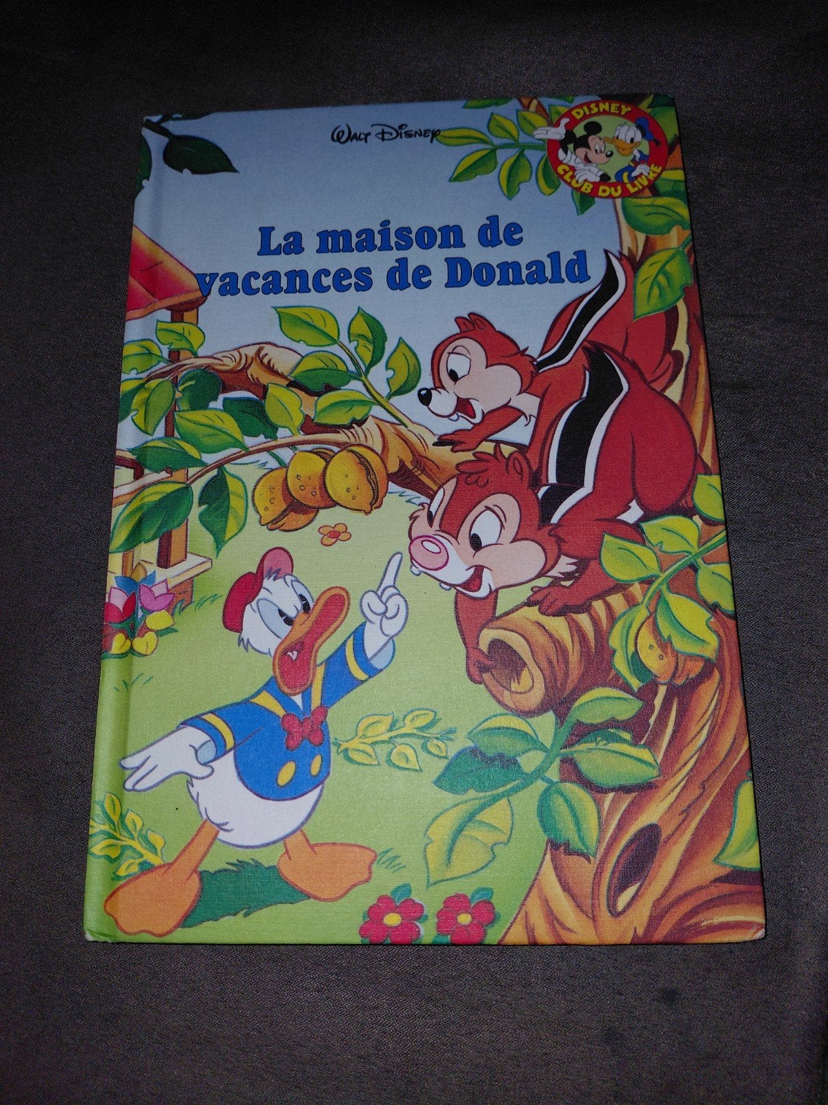 livre la maison de vacances de Donald, Enlèvement ou Envoi