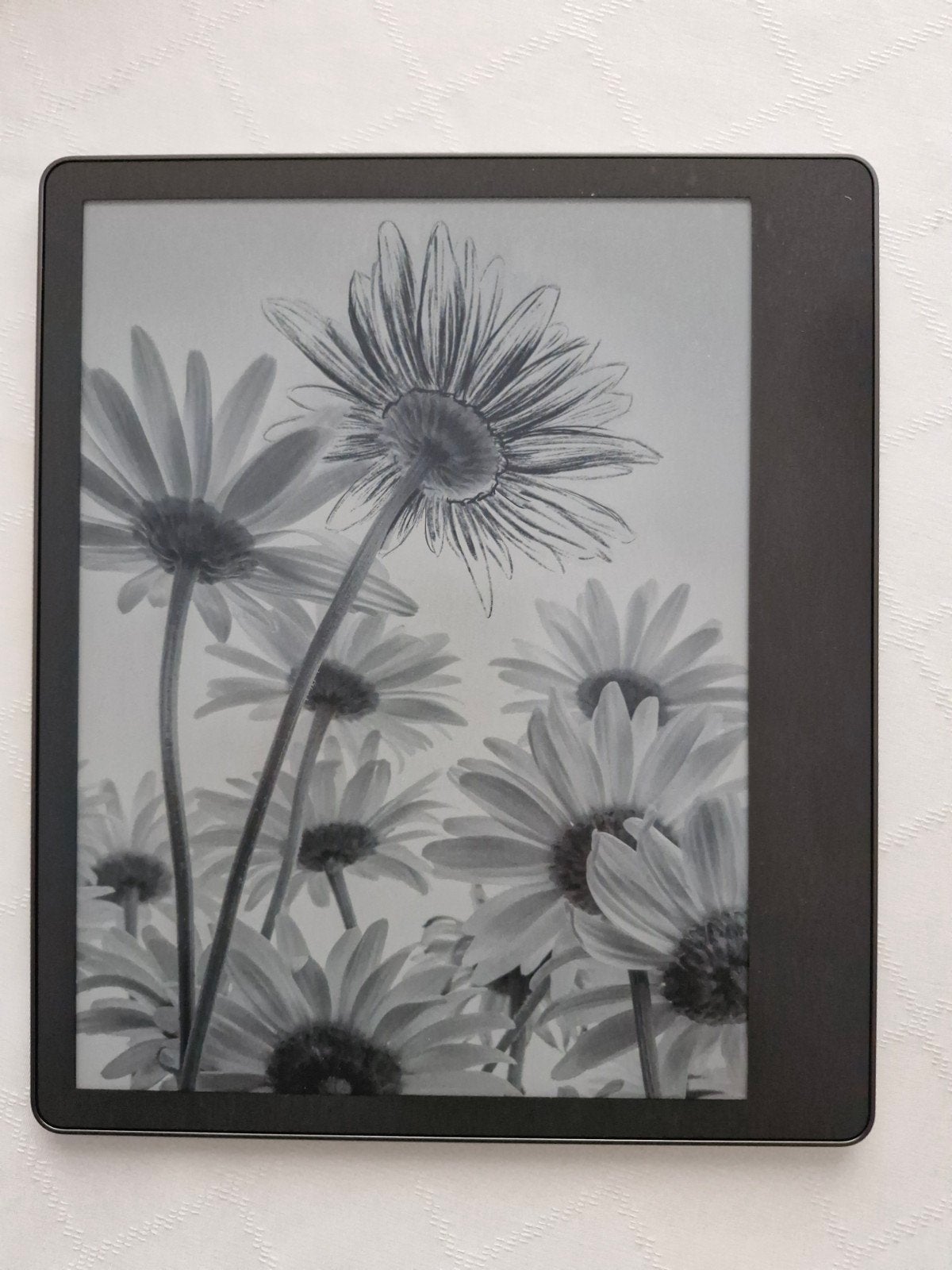 Kindle Scribe avec stylet et étui, Enlèvement