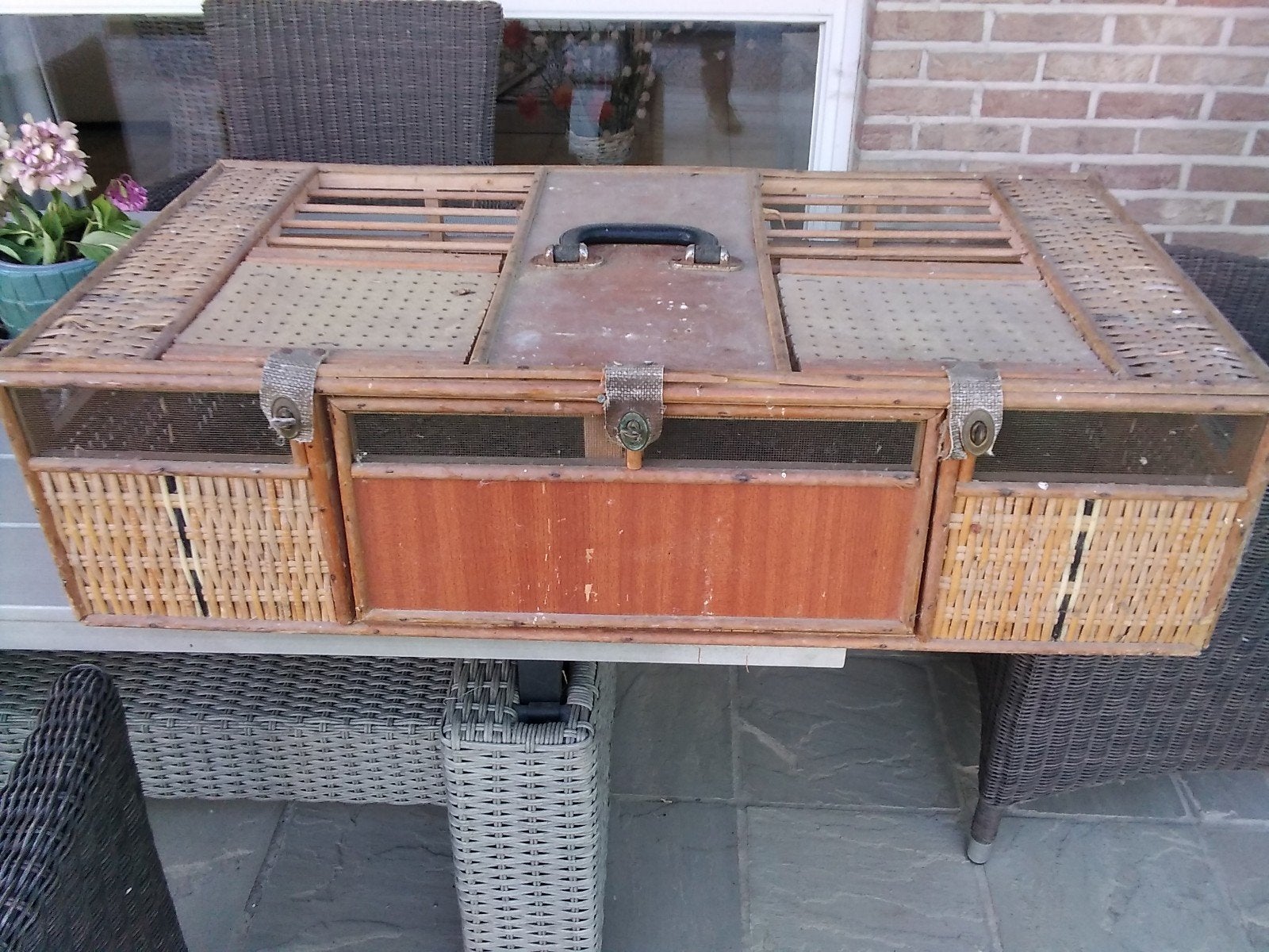 PANIER D'ENTRAÎNEMENT ET 3 BALANCES À PIGEON, Animaux & Accessoires, Oiseaux | Pigeons