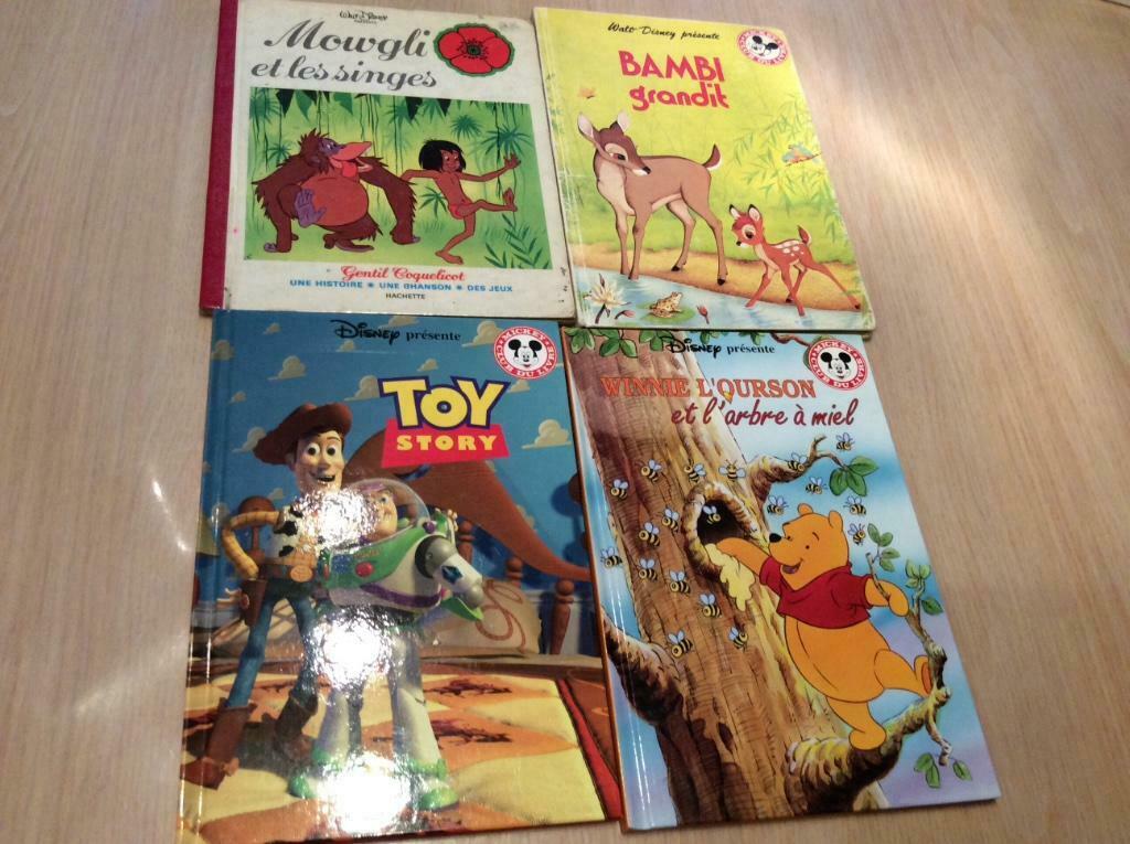 Lot de Livre de Walt Disney, Livres, Garçon ou Fille, Enlèvement, Utilisé, Contes (de fées)
