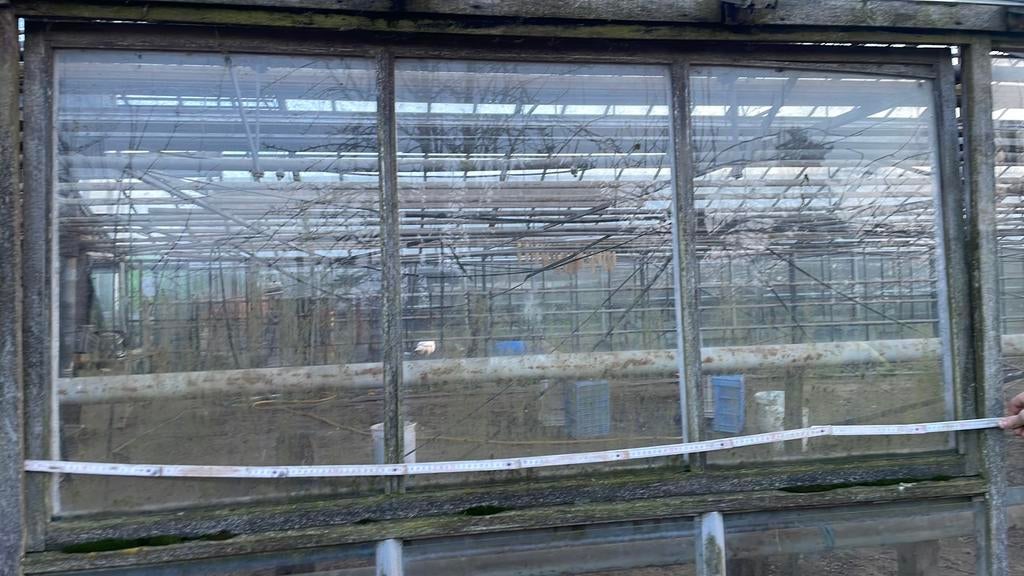 Houten kaders met serreglas, Ophalen, Overige materialen, Gebruikt, Kweekkas