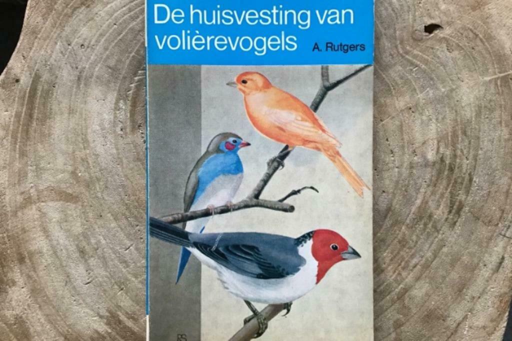 De huisvesting van volièrevogels