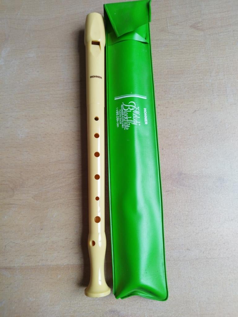 Hohner flûte vintage, Musique & Instruments, Instruments à vent | Flûtes à bec, Enlèvement ou Envoi, Utilisé