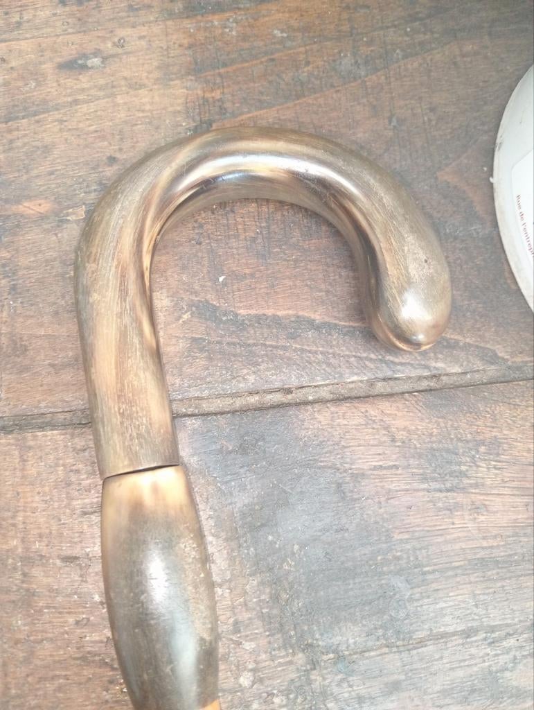 Ancienne canne corne/ jonc, Divers, Bâtons de marche, Enlèvement ou Envoi