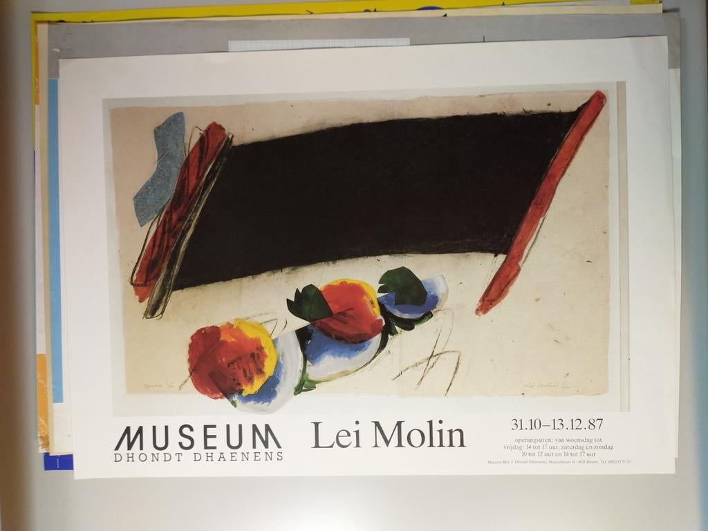 Lei Molin MDD 1987 affiche, Ophalen of Verzenden, Zo goed als nieuw