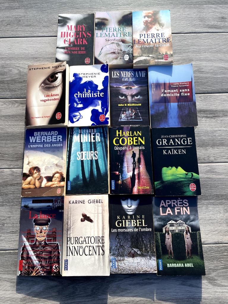 Livres en lot ou à la pièce Lemaitre, Meyer, Coben, Grangé,, Enlèvement ou Envoi