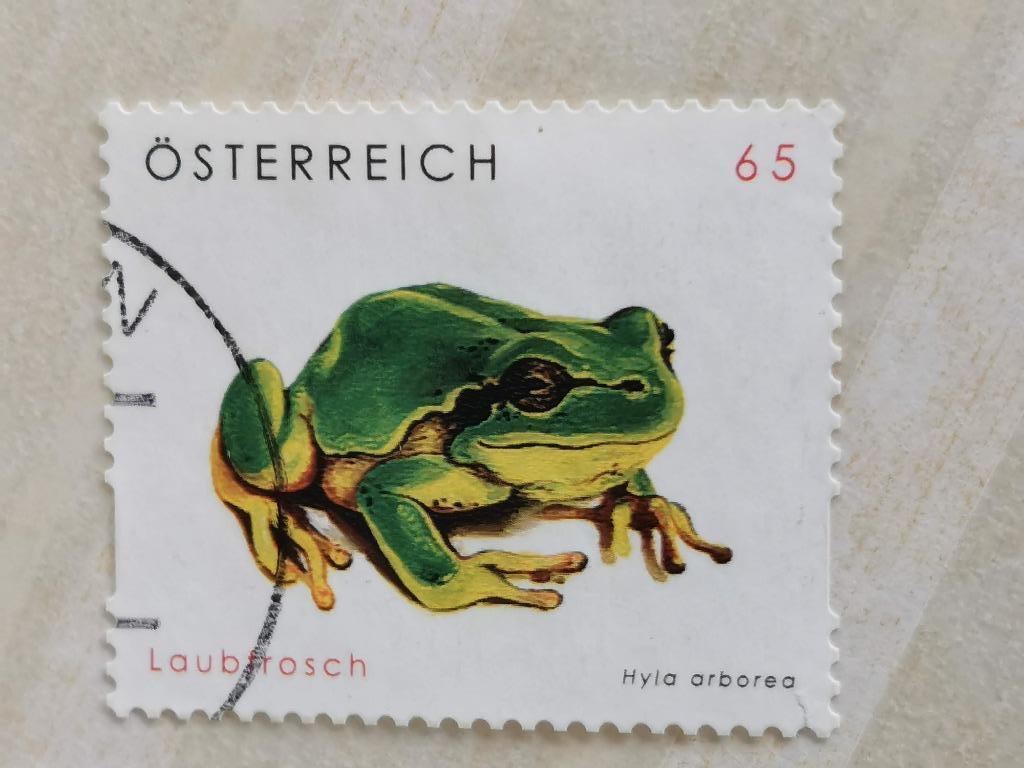 Autriche 2008 - faune - amphibiens - grenouille, Enlèvement ou Envoi, Affranchi