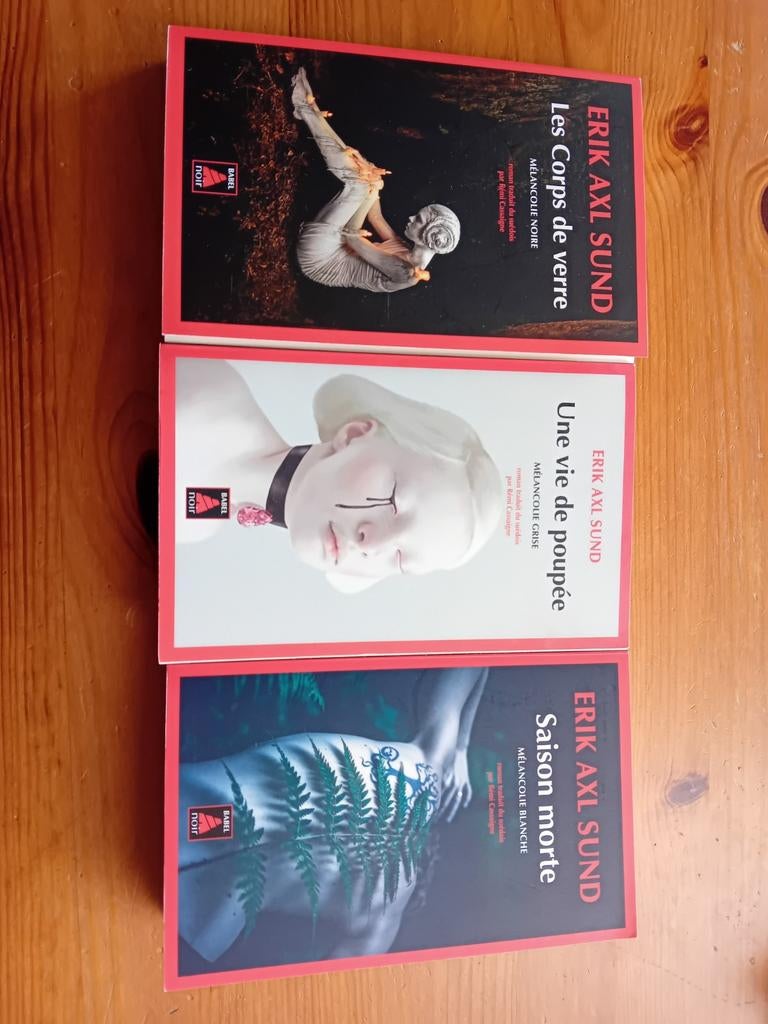 Trilogie Mélancolie Erik Axl Sund, Enlèvement ou Envoi