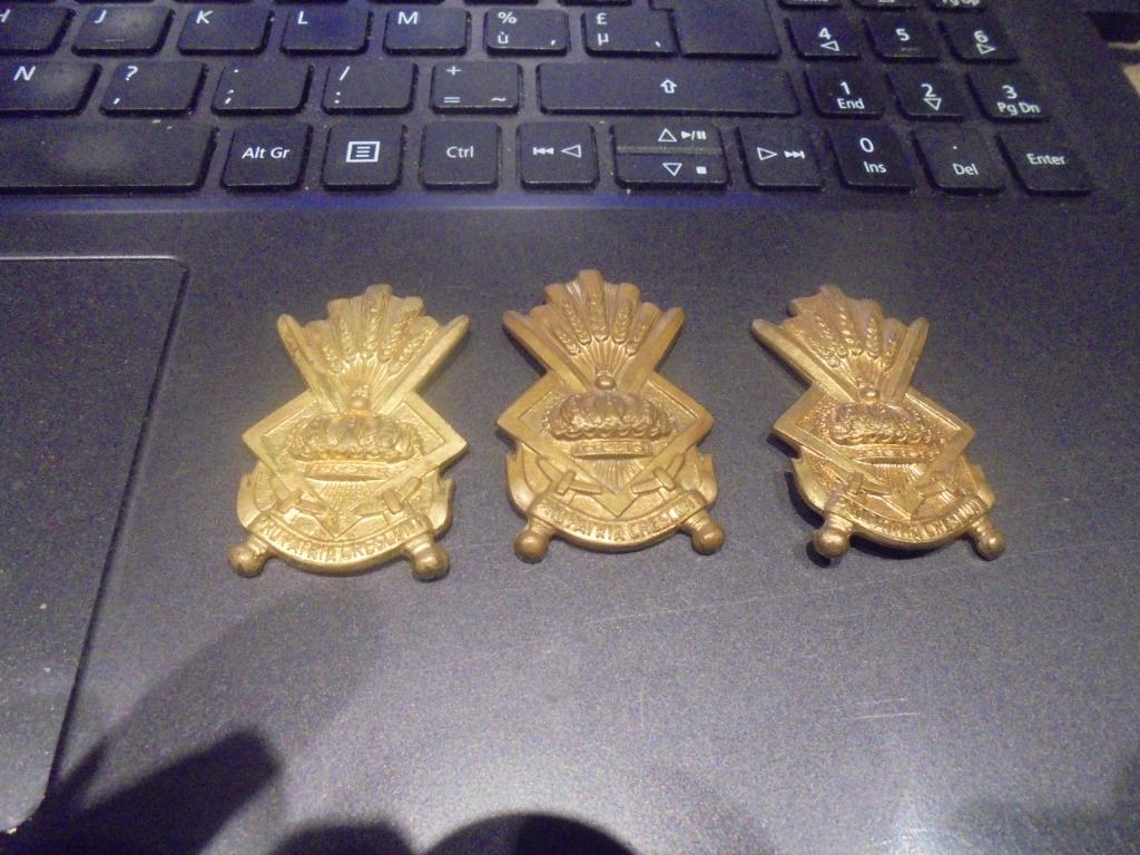 koninklijke kadettenschool mutskenteken, Enlèvement ou Envoi, Armée de terre, Emblème ou Badge