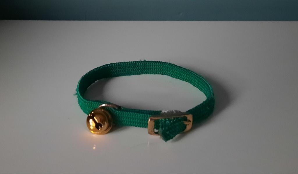 Collier pour chat/chien, Enlèvement ou Envoi