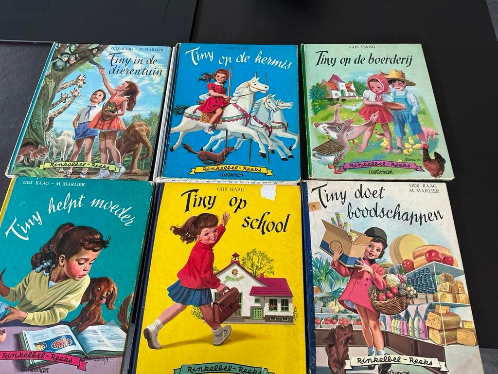 Tiny boekjes, Boeken, Ophalen of Verzenden, Gelezen, Gijs Haag