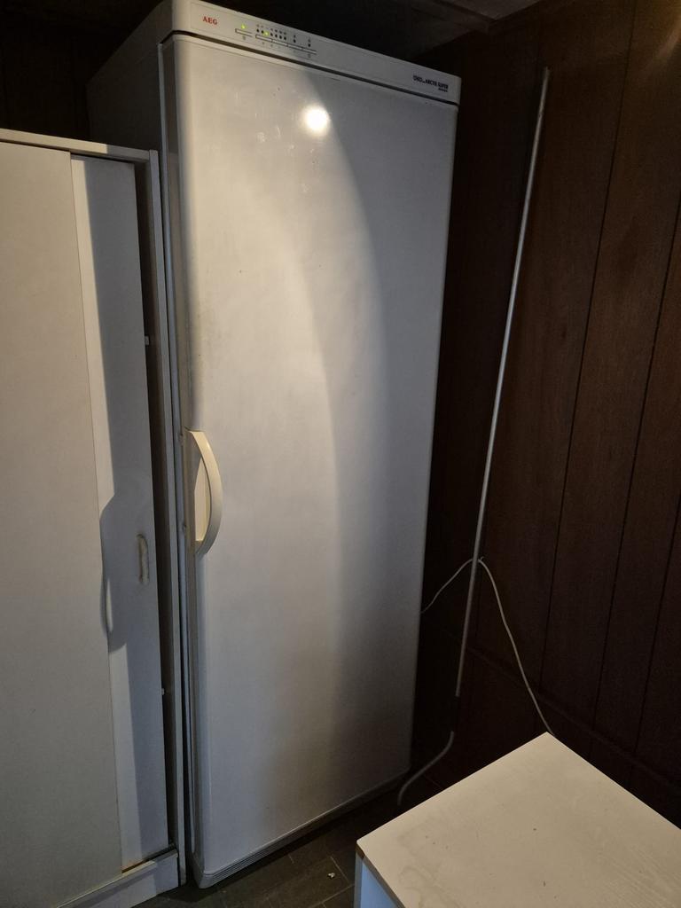 AEG Diepvries - 8 schuiven, Congélateur, 160 cm ou plus, Enlèvement, Utilisé