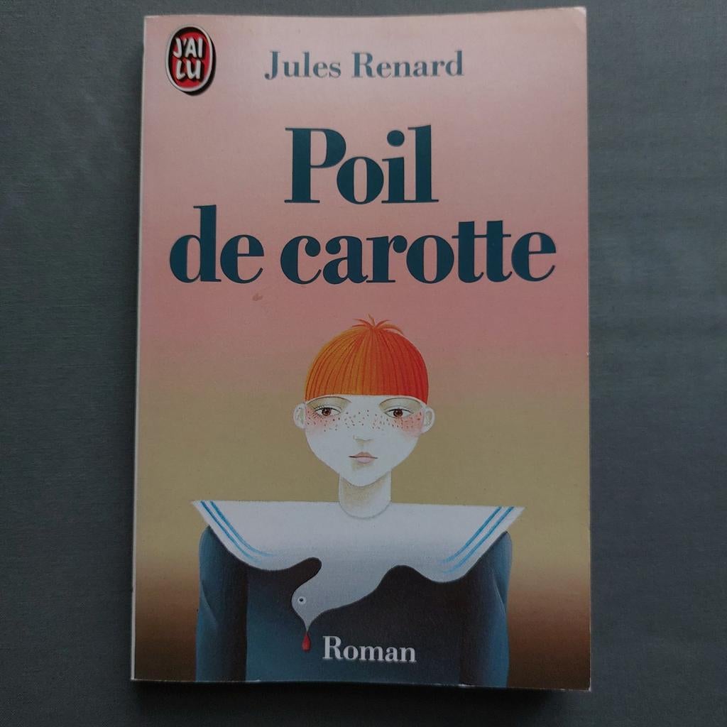 Poil de carotte de Jules Renard, Enlèvement, Utilisé, Secondaire, Français
