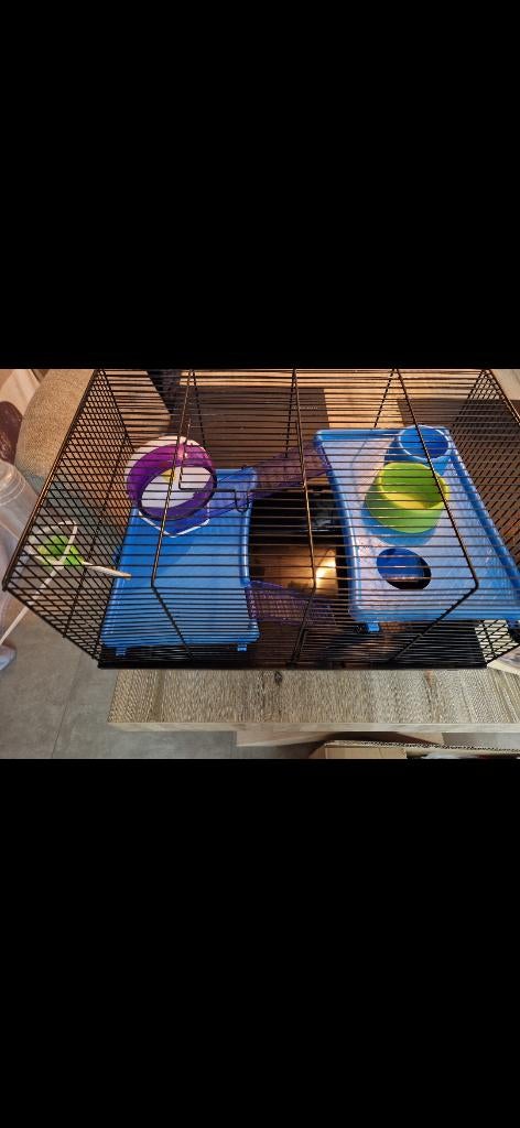 hamsterkooi, Dieren en Toebehoren, Ophalen, Gebruikt, Kooi, Hamster