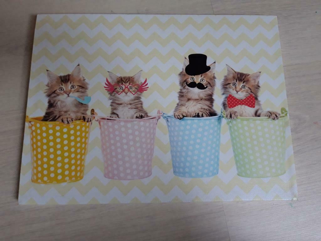 Toile 30x40 cm "chats", Enlèvement ou Envoi, Comme neuf