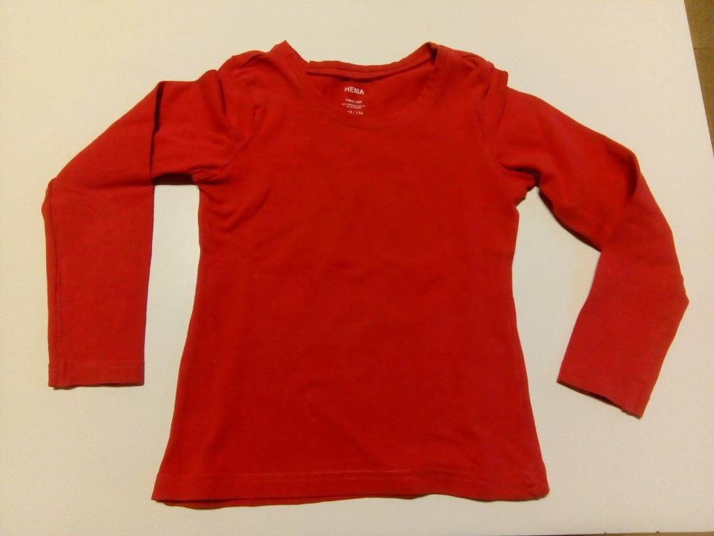 T-shirt lange mouwen / longsleeve maat 110, Kinderen en Baby's, Kinderkleding | Maat 110, Ophalen, Jongen of Meisje, Zo goed als nieuw