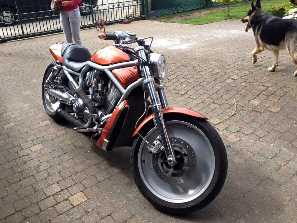 Harley Davidson V-ROD met 240 achterwiel, 2 cilinders, 1130 cc, Particulier, Naked bike