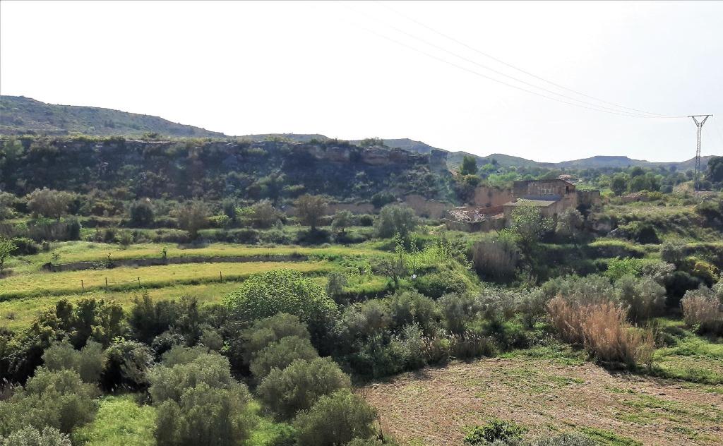Maison de campagne à Caspe (Aragón, Espagne) - 0774, Autres types, Espagne, Campagne