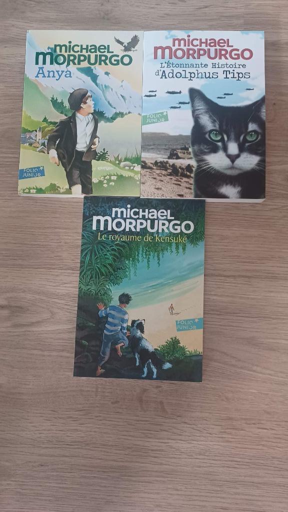 Livres Michael MORPURGO - àpd 10 ans, Enlèvement, Neuf