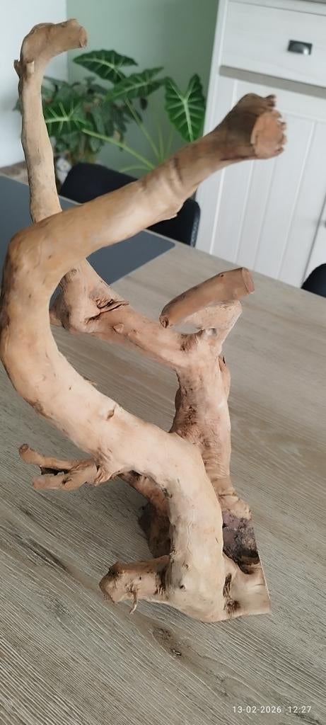 Spiderwood voor aquarium of terrarium, Dieren en Toebehoren, Ophalen, Nieuw, Gevuld zeewateraquarium