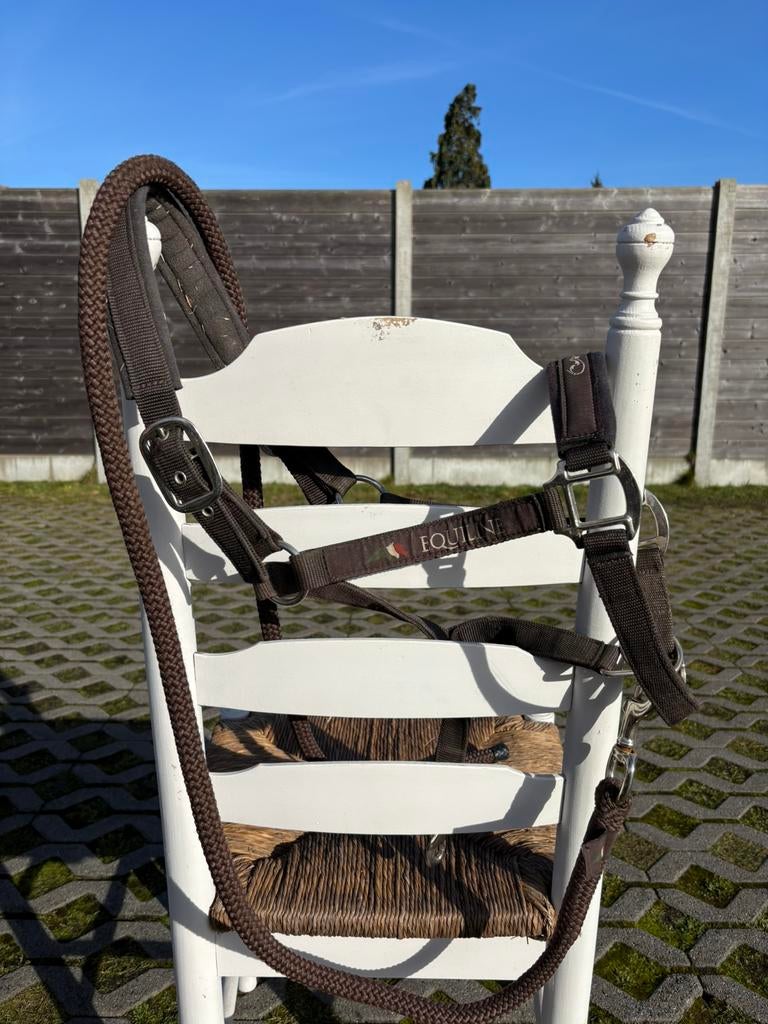 Longeer hulp en halsters, Dieren en Toebehoren, Ophalen, Gebruikt, Dressuur