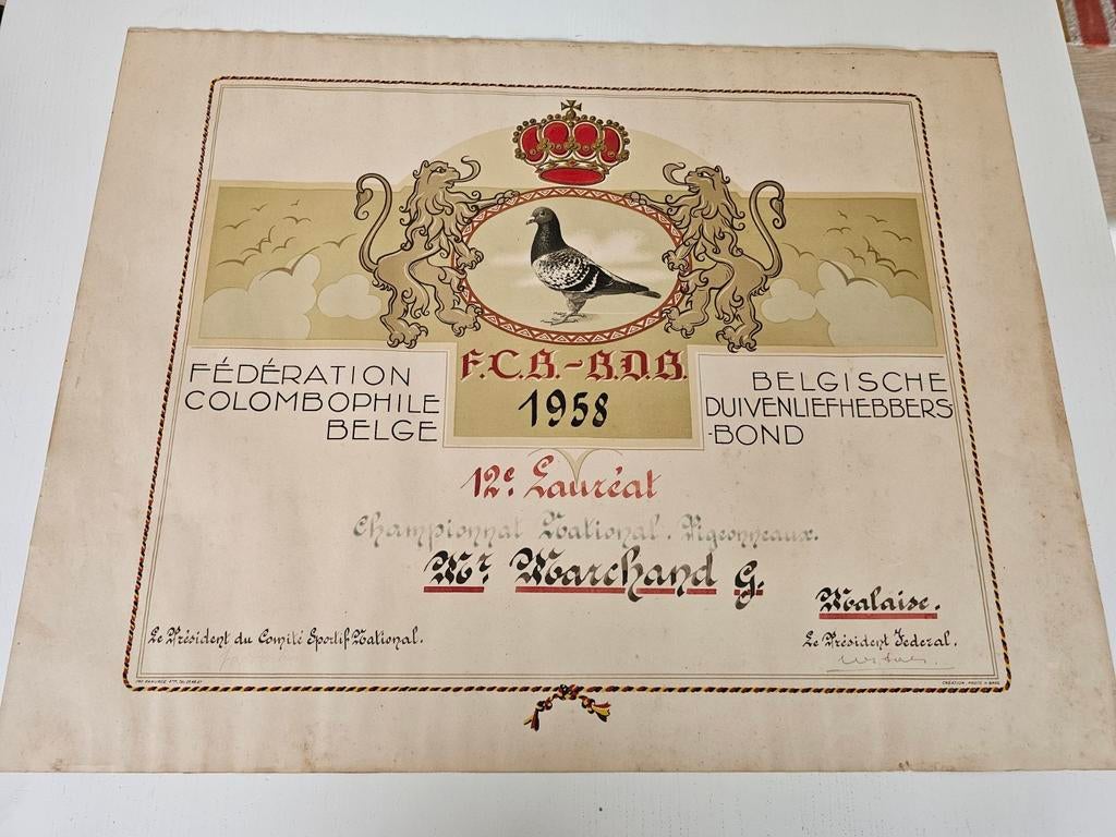 Duiven Diploma 1958, Ophalen of Verzenden