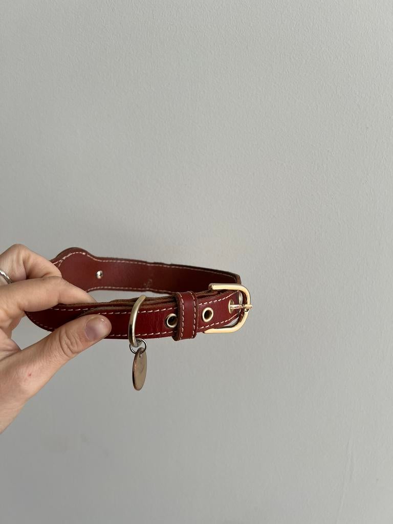 2 halsbanden voor honden met airtag, Ophalen of Verzenden, Zo goed als nieuw