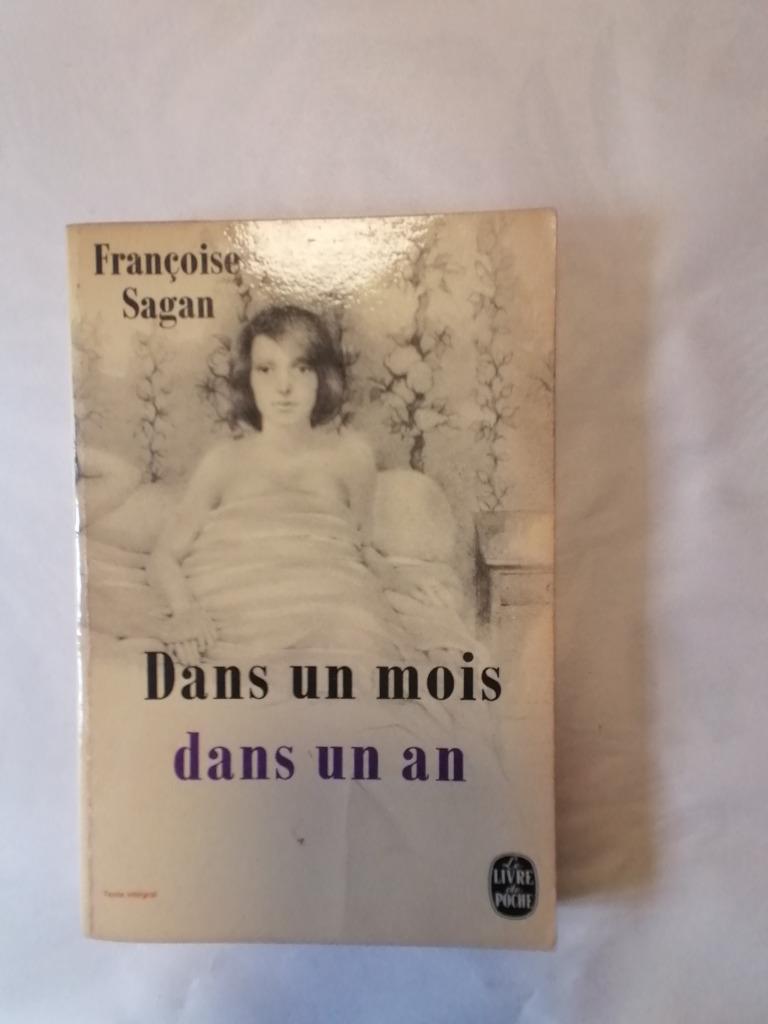 Dans un mois, dans un an - Françoise Sagan, Livres, Romans, Utilisé, Enlèvement ou Envoi
