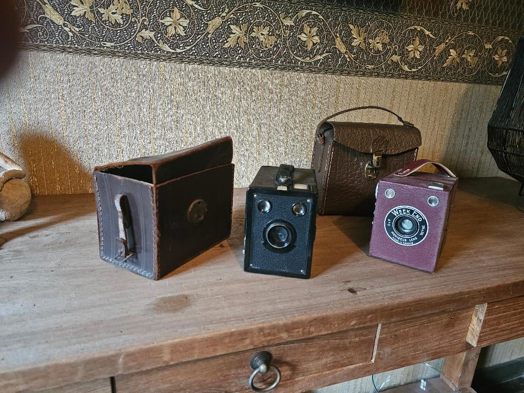 Oud fototoestel, Ophalen