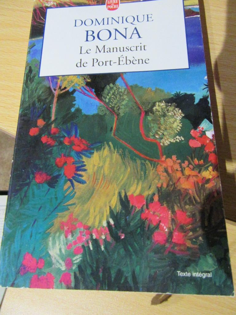 V le manuscrit de Port-Ebène de Dominique Bona, Enlèvement, Utilisé