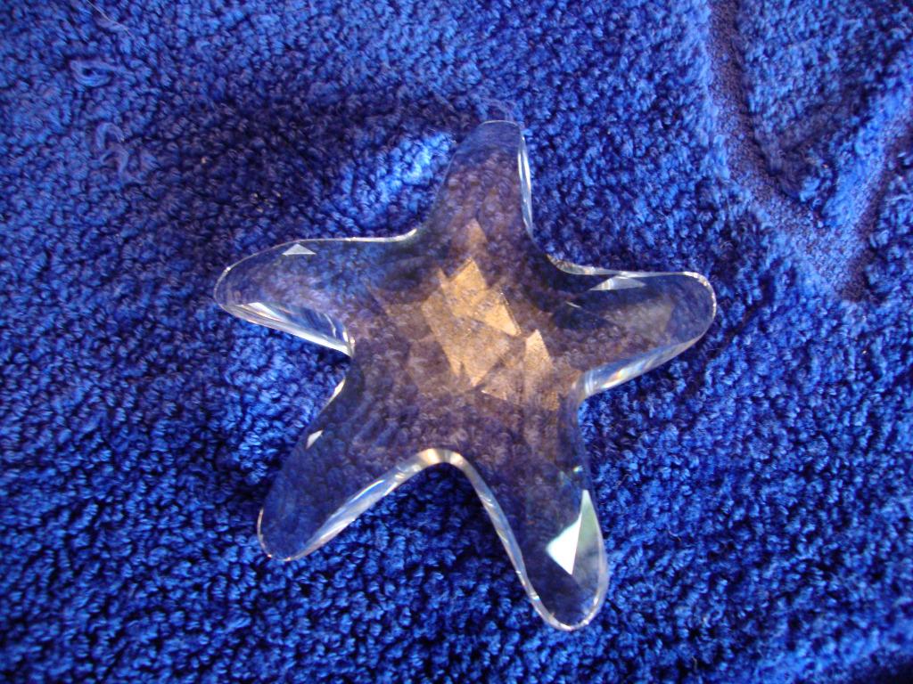 Swarovski Zeester, Verzamelen, Swarovski, Ophalen, Zo goed als nieuw, Figuurtje