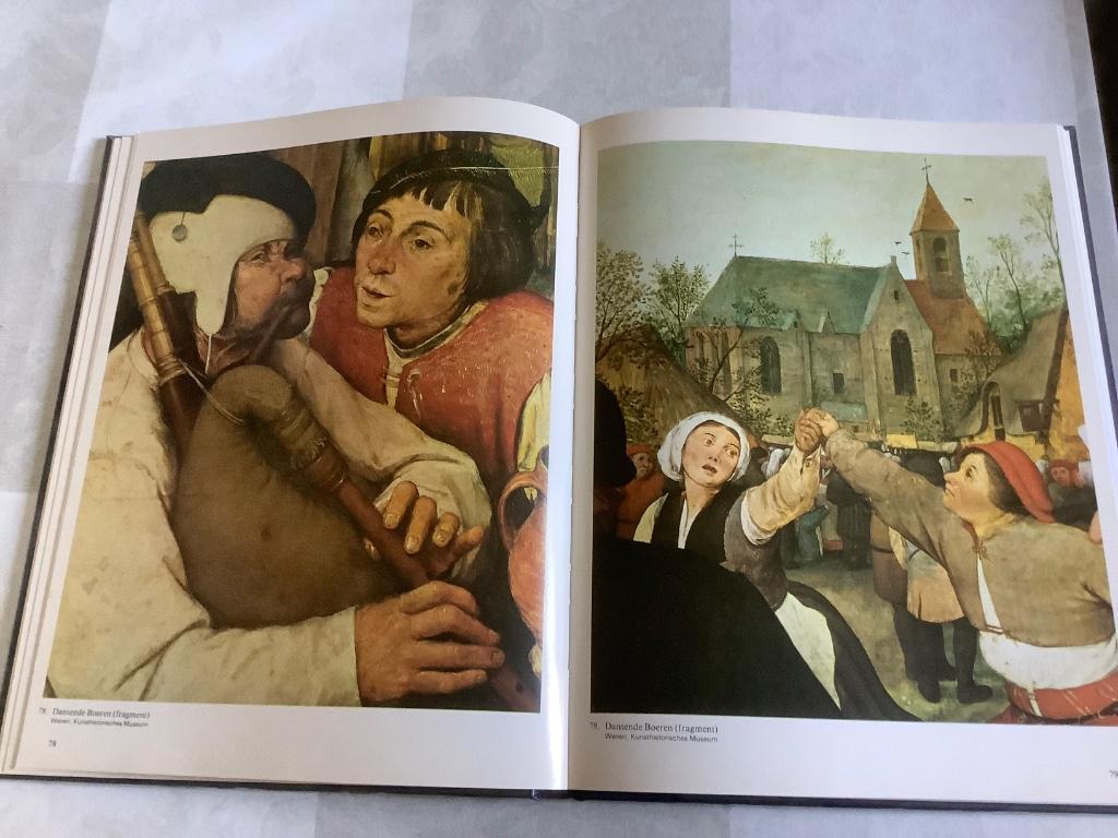 boek  Pieter Brueghel uitg rotterdam, Antiek en Kunst, Ophalen of Verzenden