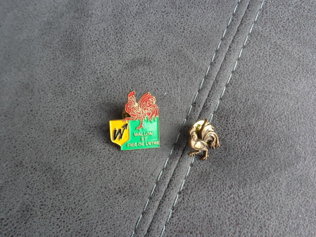 2 pin's sur la Wallonie, Collections, Broches, Pins & Badges, Enlèvement