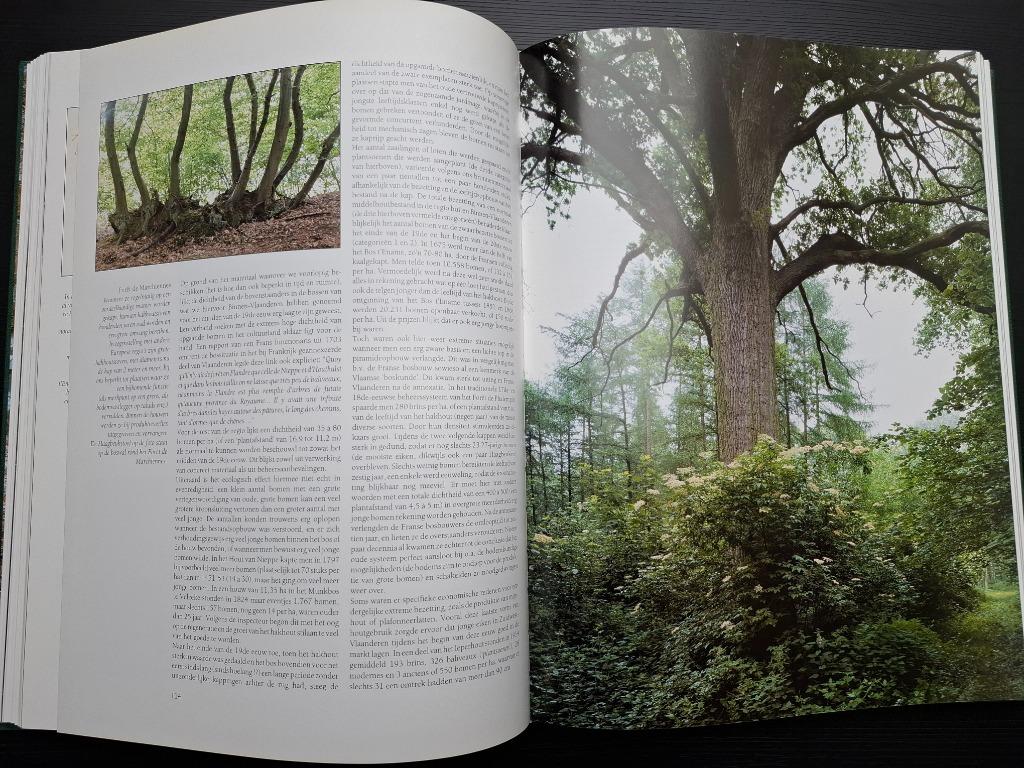 Bossen van Vlaanderen - DF - 1993 - bos bosbeheer ecologie, Boeken, Ophalen of Verzenden