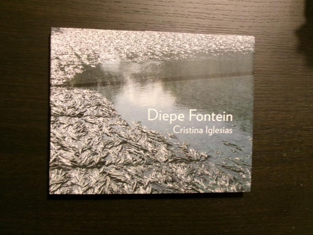 Diepe Fontein  -Cristina Iglesias-, Boeken, Ophalen of Verzenden