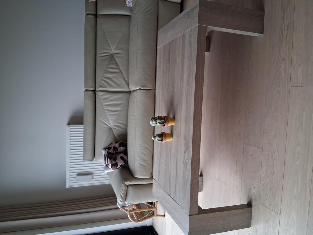 Salontafel, Ophalen, Gebruikt, Overige houtsoorten, Overige