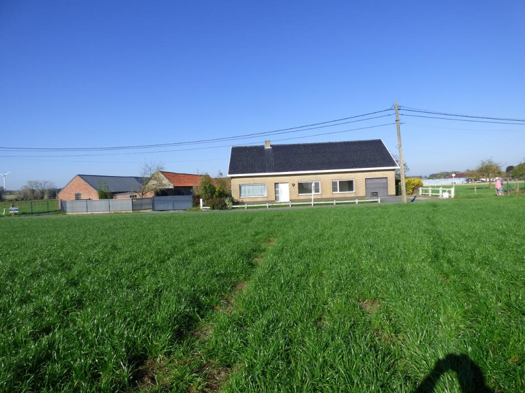 boerderij/hoeve/woning+weide te koop  Ruddervoorde, 150 kWh/m²/jaar, Vrijstaande woning, 3 kamers, Provincie West-Vlaanderen