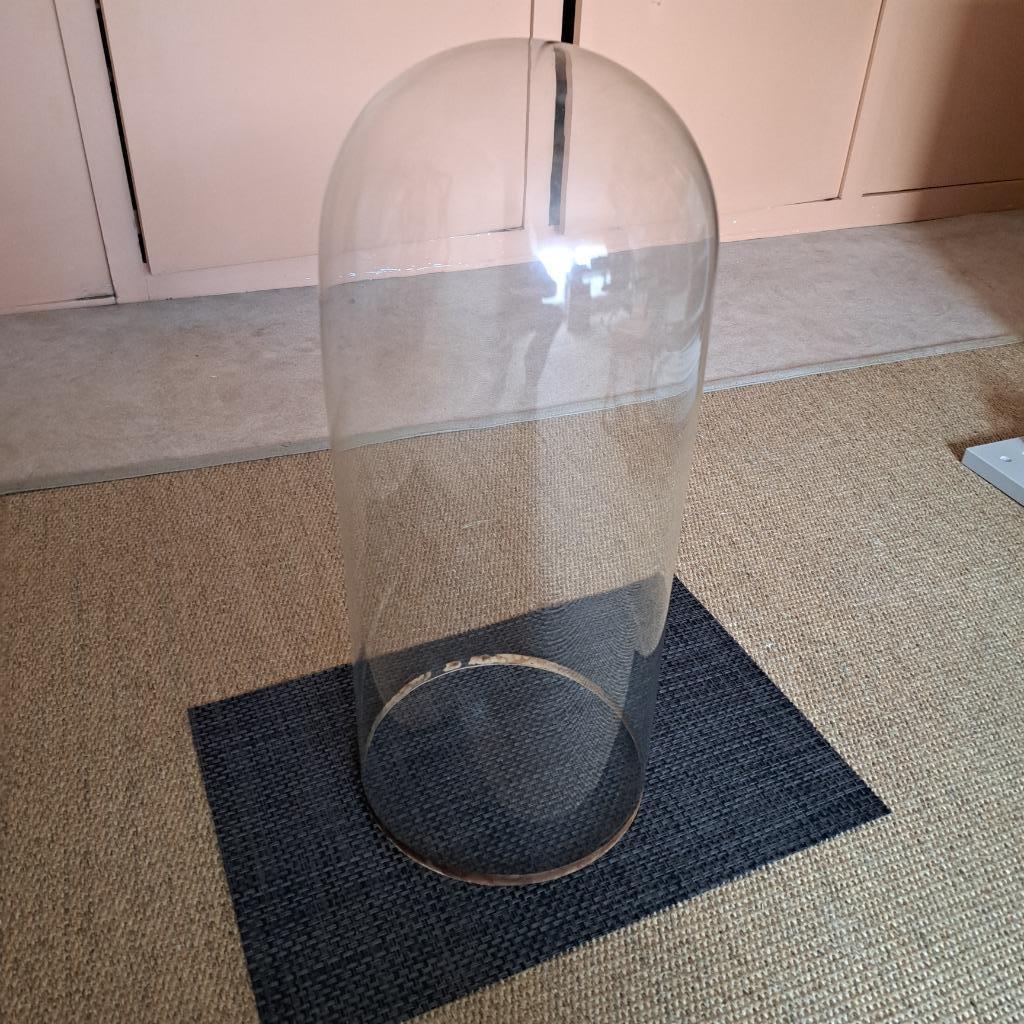 Grand globe cloche verre (I), Enlèvement