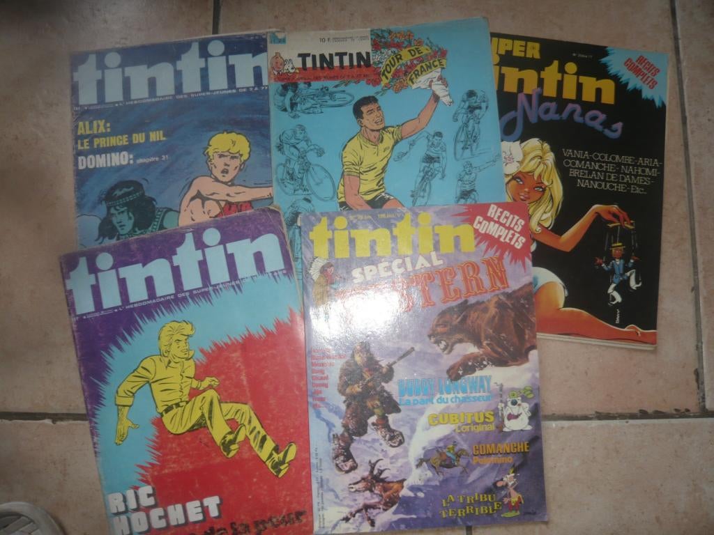 VINTAGE BD---TINTIN, Livres, Enlèvement, Utilisé