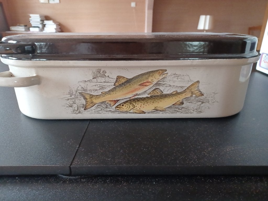 Kookpan 50cm voor vis, Huis en Inrichting, Keuken | Potten en Pannen, Ophalen, Gebruikt, Met handvatten, Kookpan