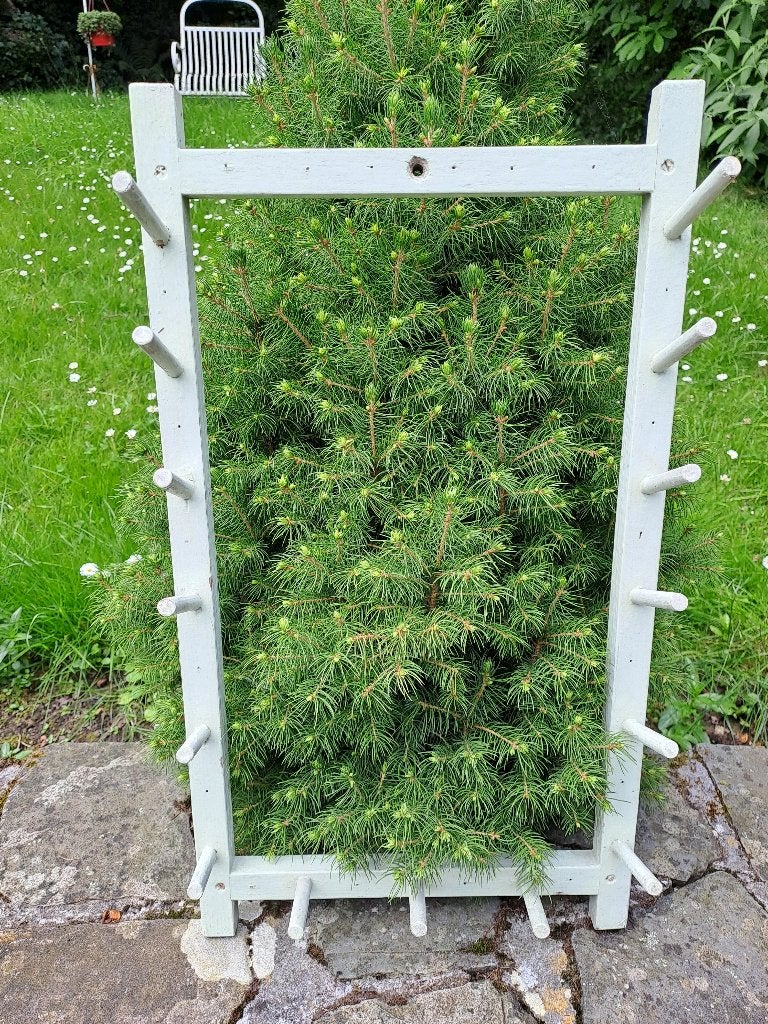 Glazen, kolven, of flesjes droogrek, Ophalen, Hout, Groen, Overige typen