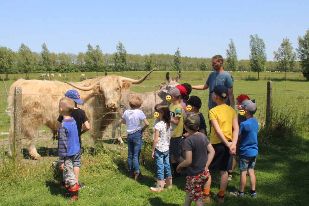 Anniversaire enfant avec rapace et animaux, Enlèvement, Neuf