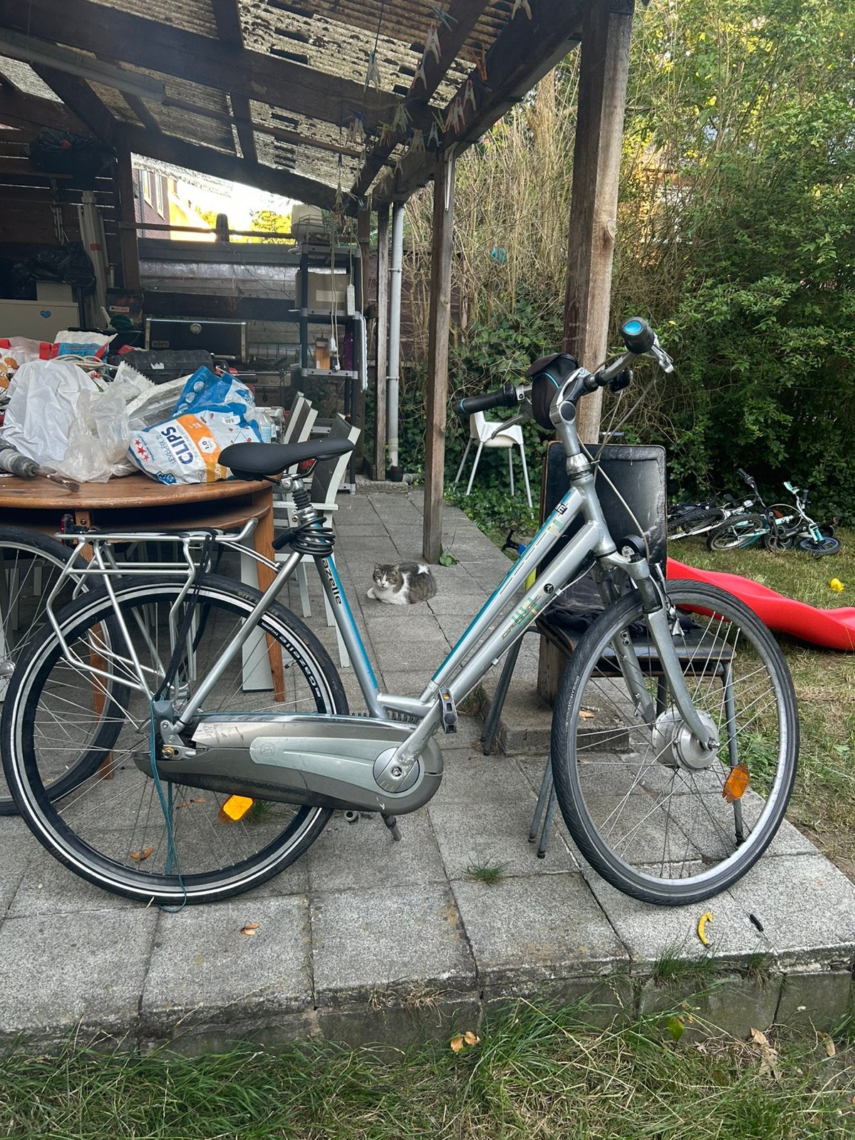 Vélo Gazelle, Enlèvement, Utilisé